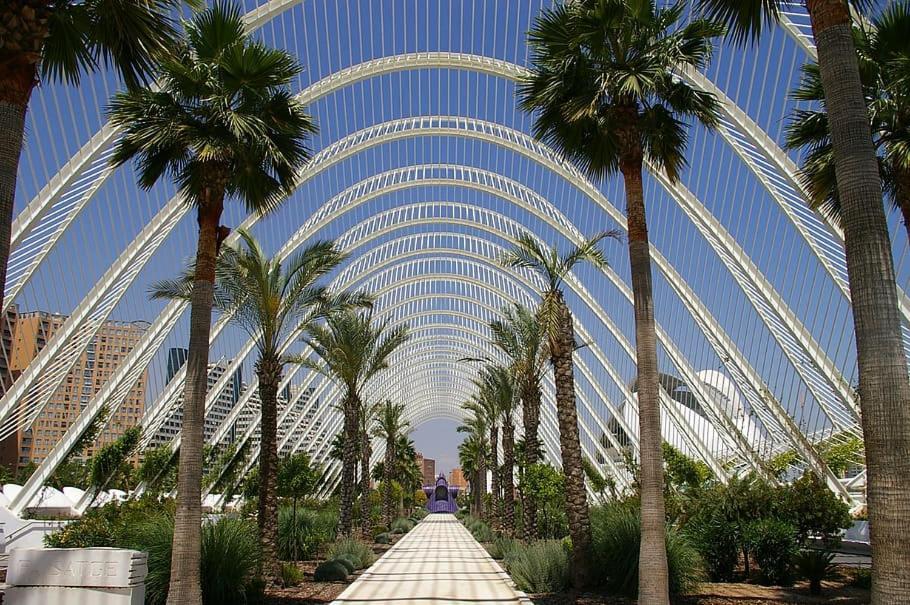 Apartamento Turistico Lux Center Valencia Exterior foto